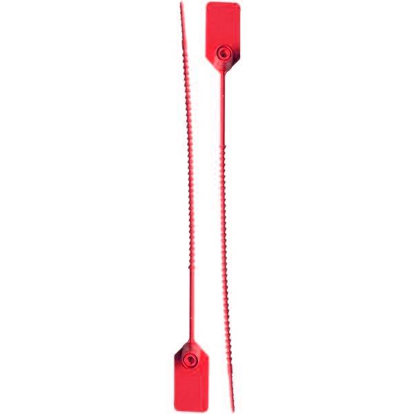 COLA DE RATA ROJO