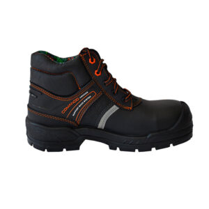 706Zapatocomando.jpg 706 Zapato comando